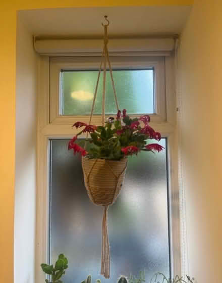 Photo of free Hessian Plant Hanger Holder (Newburgh WN8) #1