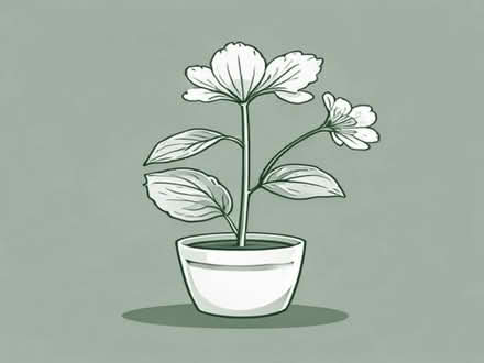 Photo of free Miricle Grow Azalia and camilia plant food (Datchet SL3) #1