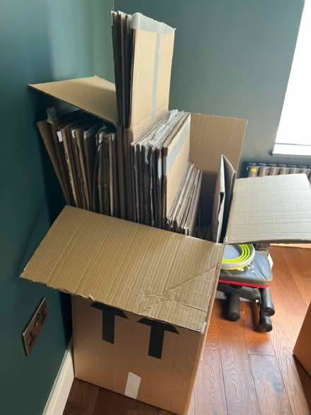 Photo of free assorted size boxes for packing (SE12 8qq) #1
