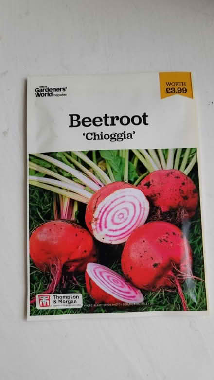 Photo of free New beetroot seeds (chorley PR6) #1