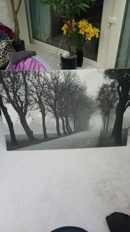 Photo of free 2 Large pictures Southbourne (Southbourne BH6) #1
