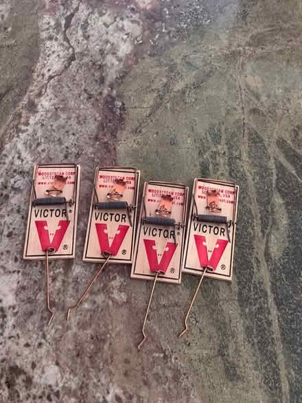 Photo of free Mouse traps (San Anselmo) #1