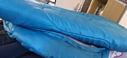 Photo of free Sleeping bag (Hanworth RG12) #1