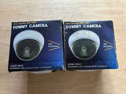 Photo of free Dummy cameras (Chessington KT9) #2