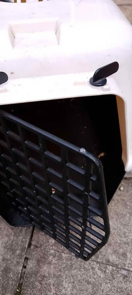 Photo of free Pigloo, tube and carrier (Ip2) #4