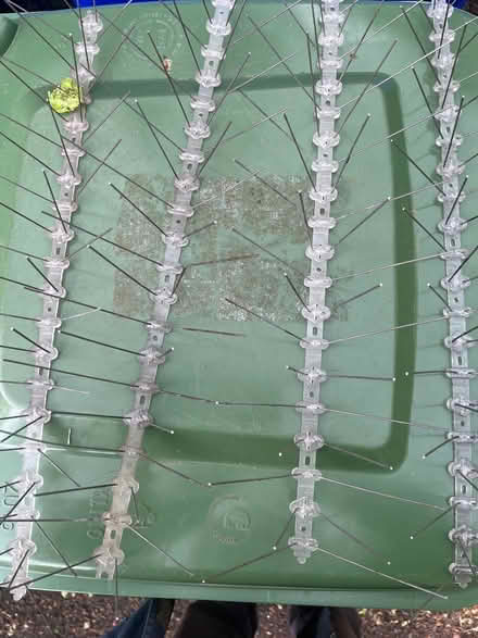 Photo of free Wire bird deterrents (Cambusbarron FK7) #1