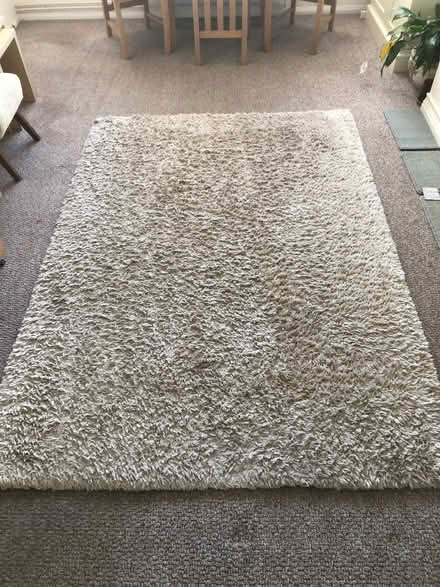 Photo of free shaggy rug (Gosport PO12) #2