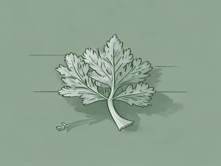 Photo of free Ground coriander BBE Nov 2026 (Longden SY5) #1