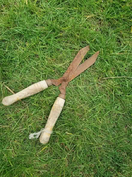 Photo of free Vintage shears (Odd Down BA2) #1
