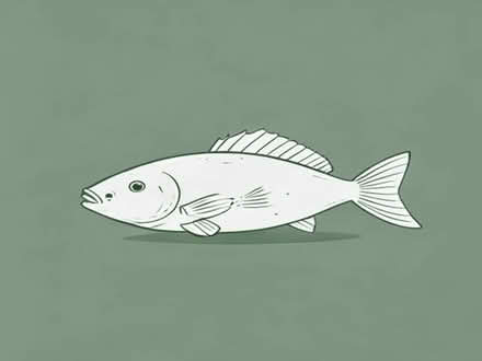 Photo of free Fish (Wellington TF1) #1