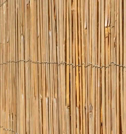 Photo of free Bamboo Slat Fencing Screening (Barons Court W6) #1