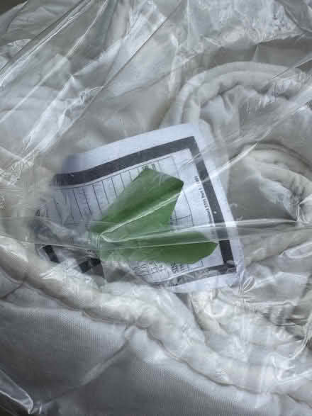 Photo of free Double duvet for pets (Brent NW2) #1