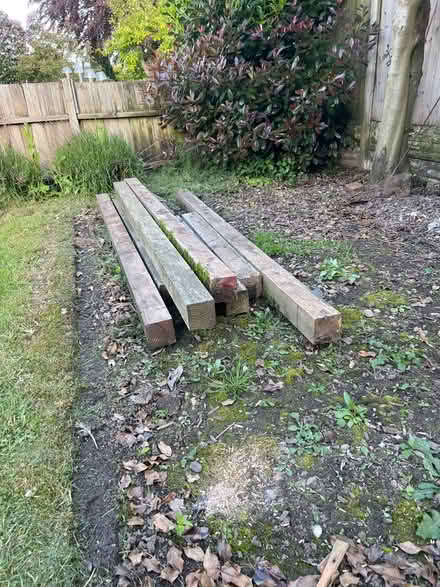 Photo of free Wooden posts (Loscoe, DE75) #1