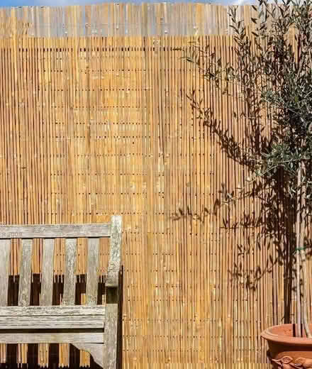 Photo of free Bamboo Slat Fencing Screening (Barons Court W6) #3