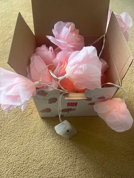 Photo of free Flower lights string (Blacklands TN34) #1