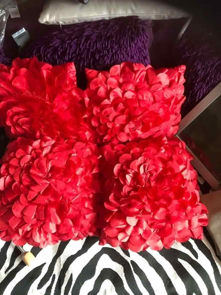 Photo of free 4 red square cushions (Gracemount EH17) #1