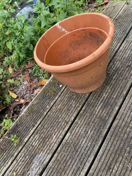 Photo of free Large plastic terracotta pot (SE153BS) #1