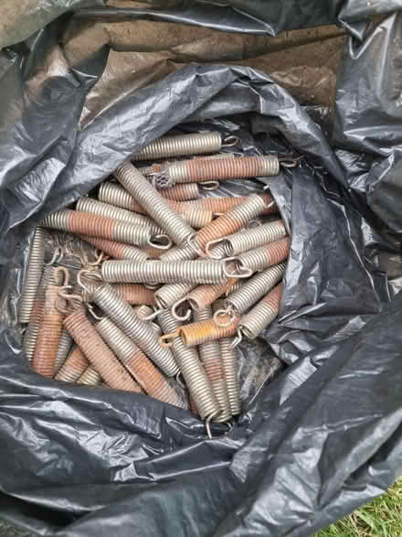Photo of free Trampoline springs (SE6) #1