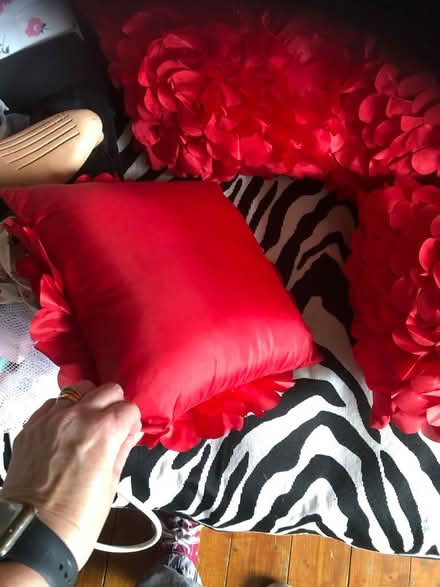 Photo of free 4 red square cushions (Gracemount EH17) #3
