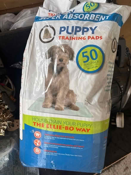 Photo of free Puppy pads (Princes Risborough) #1