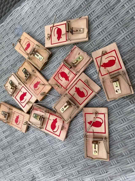 Photo of free Mouse traps (Sanderstead) #1