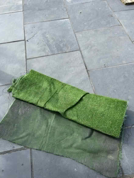 Photo of free Fake grass (used) (Wickford SS11) #4