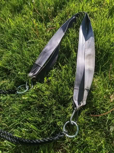 Photo of free Circular net swing (S of Ypsi) #2