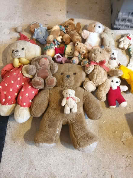Photo of free Collection of used Teddys (Trowbridge BA14) #1
