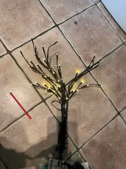 Photo of free Fairy light tree (Crystal Palace SE19) #1