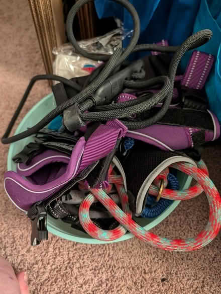 Photo of free Misc dog items (Southern and Unser) #1