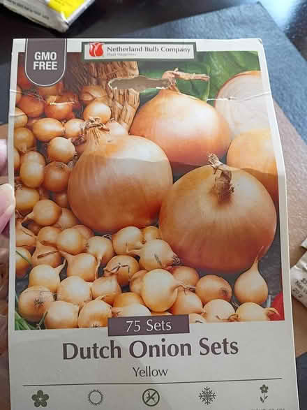 Photo of free Seeds (Erie) #1