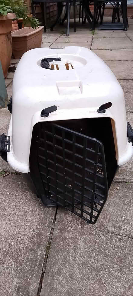 Photo of free Pigloo, tube and carrier (Ip2) #3