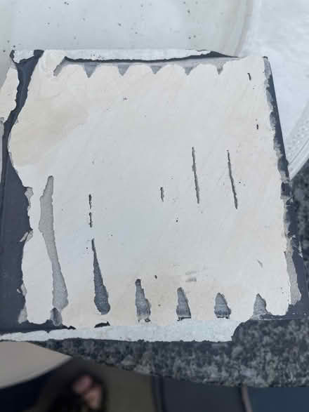 Photo of free Wall tiles (hertford heath) #3