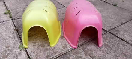 Photo of free Pigloo, tube and carrier (Ip2) #1