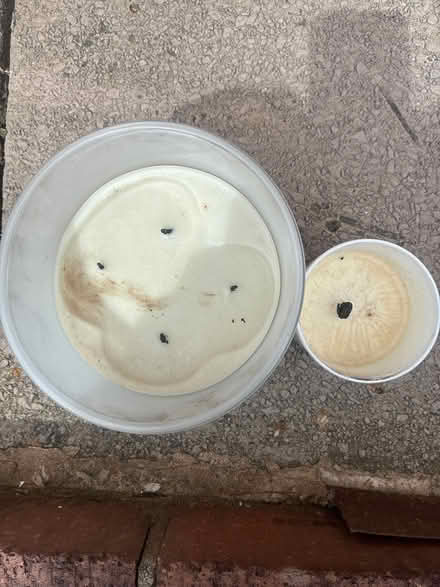 Photo of free Used candles (Stockport SK1) #1
