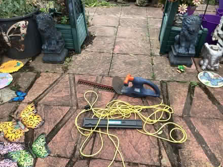 Photo of free Hedge trimmer (Farnborough Hampshire Gu149ra) #1