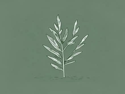 Photo of free Dried sage BBE Nov 2025 (Longden SY5) #1