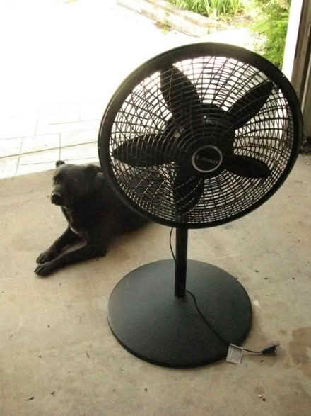 Photo of free Room fans (Lakeside area) #1