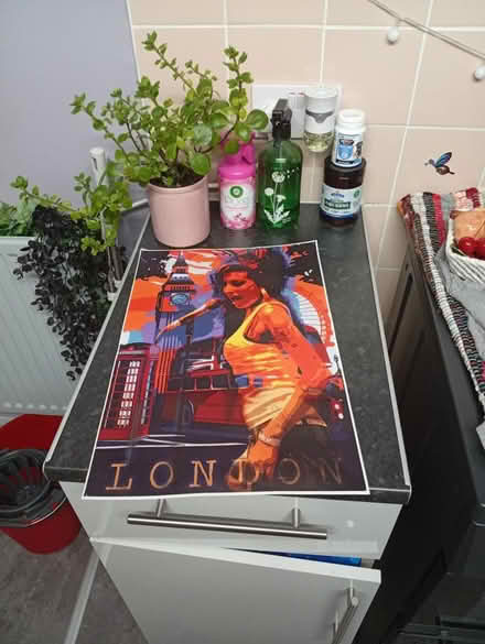 Photo of free Amy Winehouse pic (Dursley) #1
