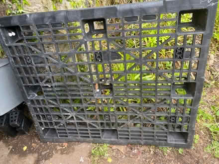 Photo of free 3 plastic pallets (Cambusbarron FK7) #1