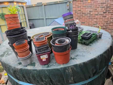 Photo of free Large selection of Plant Pots (Altofts WF6) #1