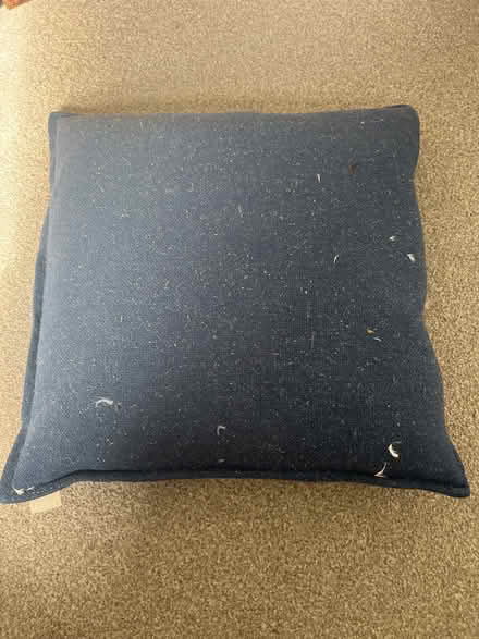 Photo of free Blue cushion (TN1) #1