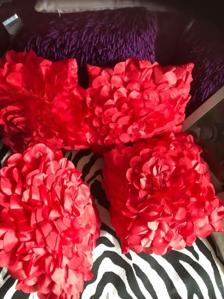 Photo of free 4 red square cushions (Gracemount EH17) #4