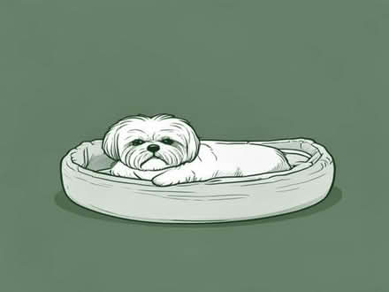 Photo of free Small shihtzu size dog bed (Adelphi PR1) #1