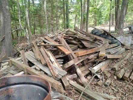 Photo of free all! Wood (Jacksonvillell) #3