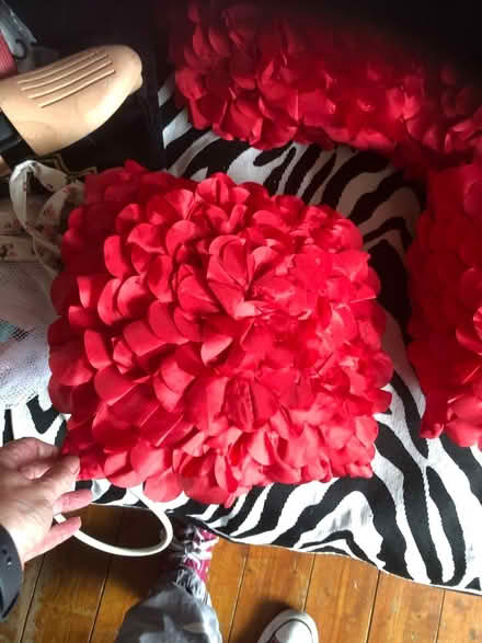 Photo of free 4 red square cushions (Gracemount EH17) #2