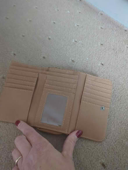 Photo of free Brown Purse (Orgreave S13) #2
