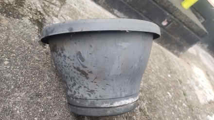 Photo of free Plant pot for drainpipe (Chislehurst BR7) #1