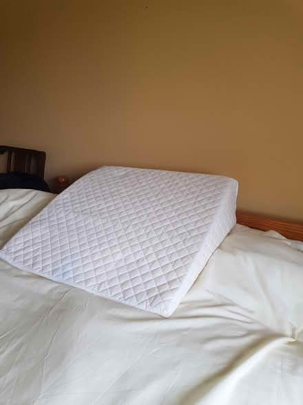 Photo of free Wedge Pillow (Colyton EX24) #1