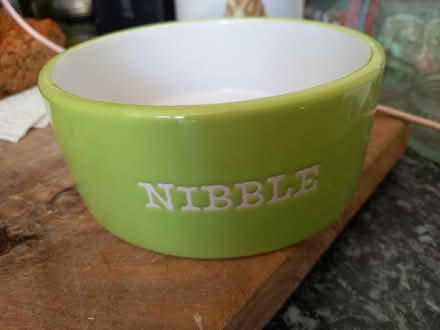 Photo of free Rabbit dish (Downhead Park MK15) #1